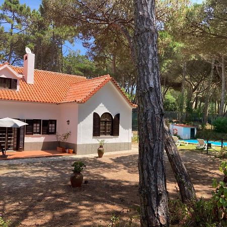 Moradia no Pinhal com Piscina - Espaço e Privacidade para as suas Férias! Sintra Exterior foto