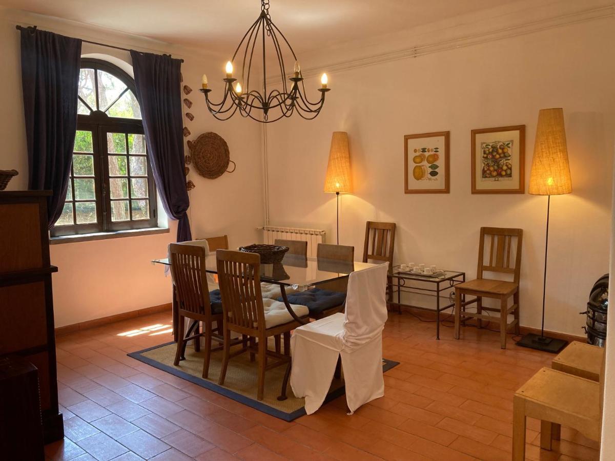 Moradia no Pinhal com Piscina - Espaço e Privacidade para as suas Férias! Sintra Exterior foto