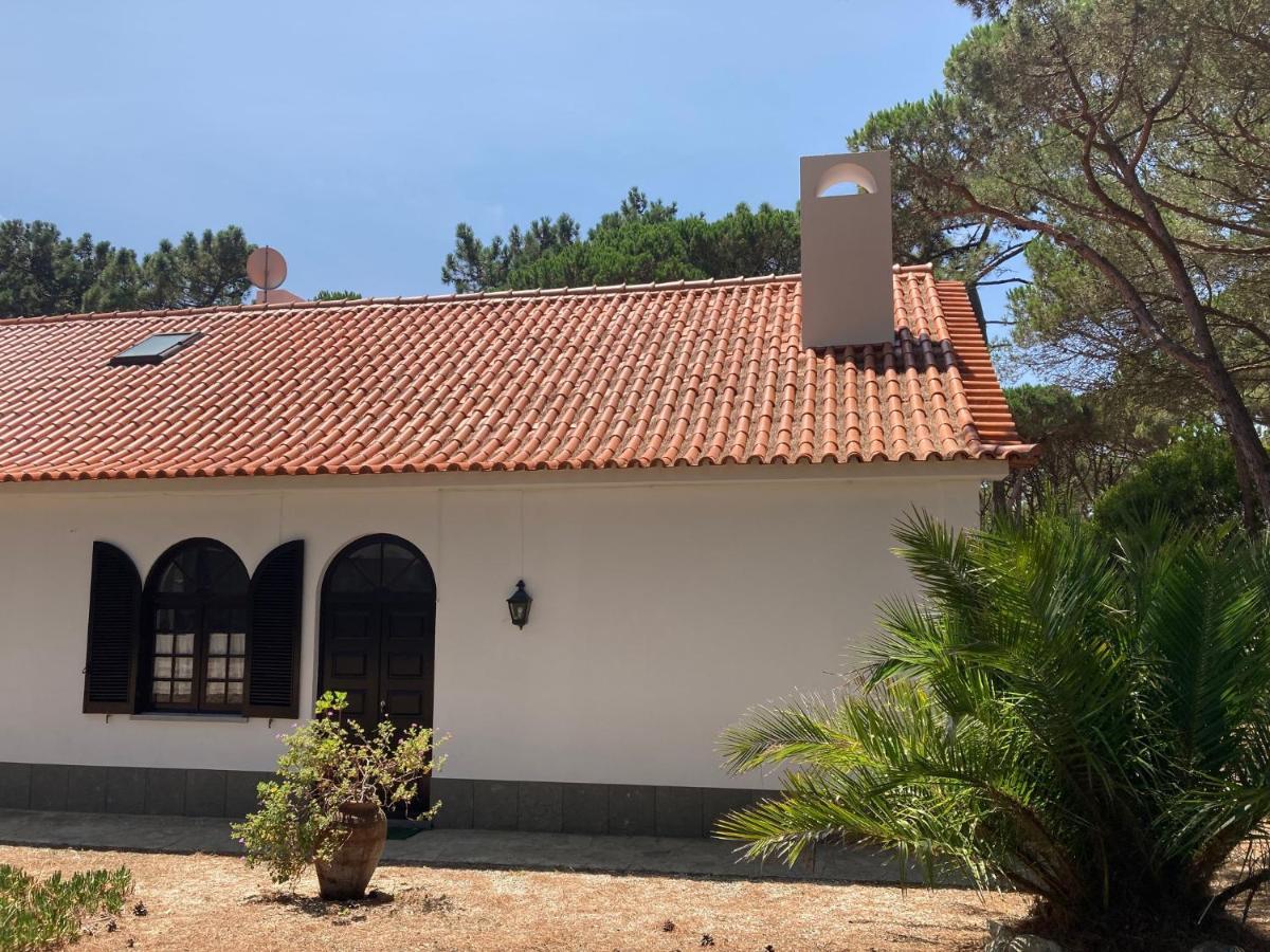 Moradia no Pinhal com Piscina - Espaço e Privacidade para as suas Férias! Sintra Exterior foto